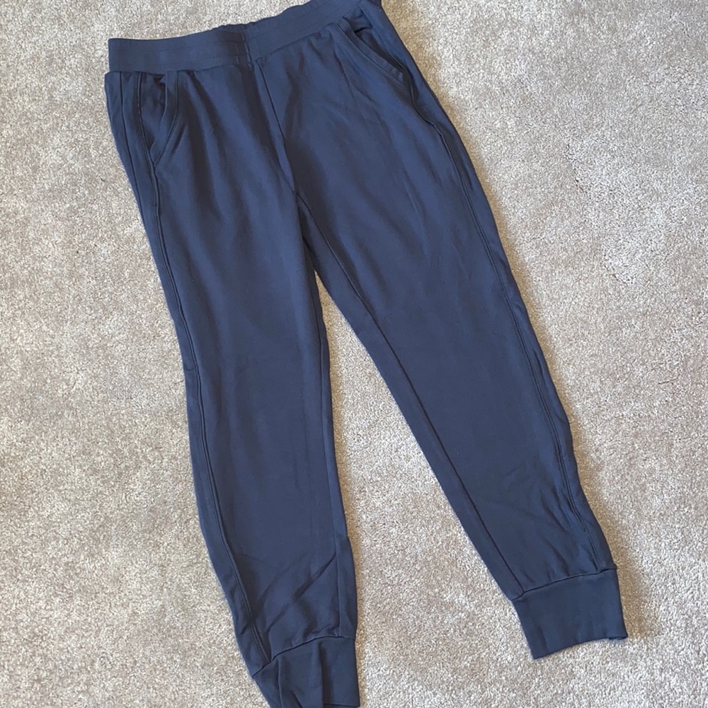 Fabletics Joggers - image 1